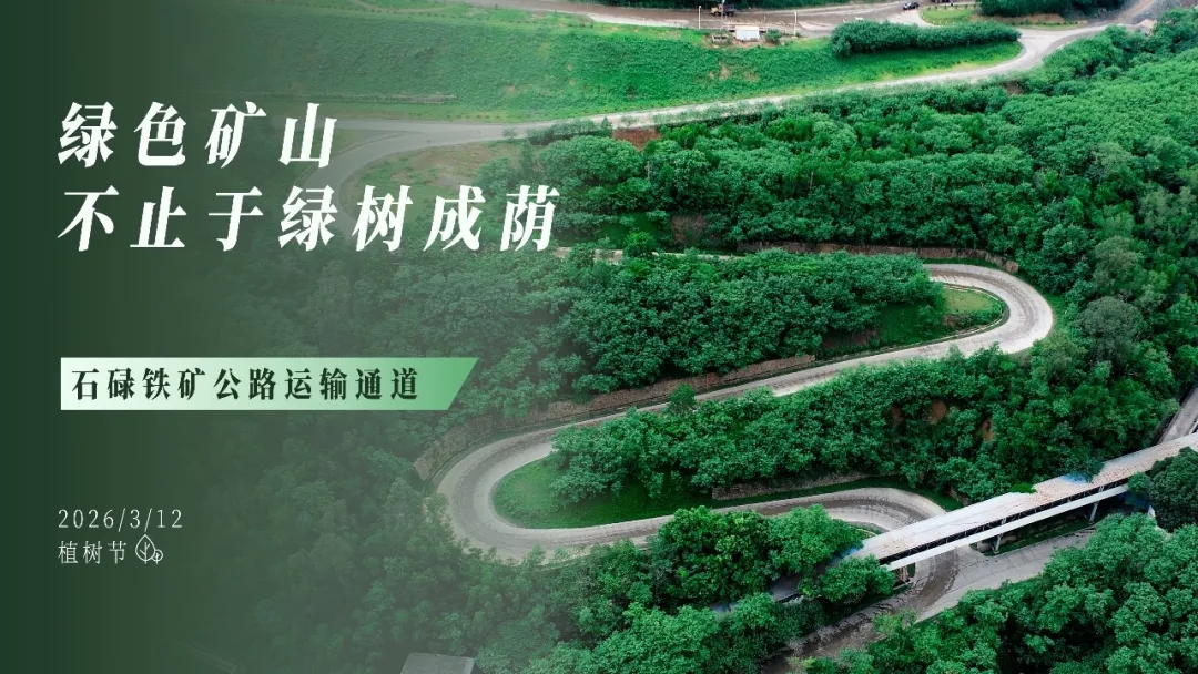 植樹節(jié) | 綠色礦山，不止于綠樹成蔭